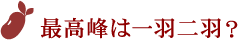 最高峰は一羽二羽？