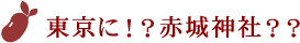 東京に！？赤城神社？？