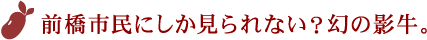 前橋市民にしか見られない？幻の影牛