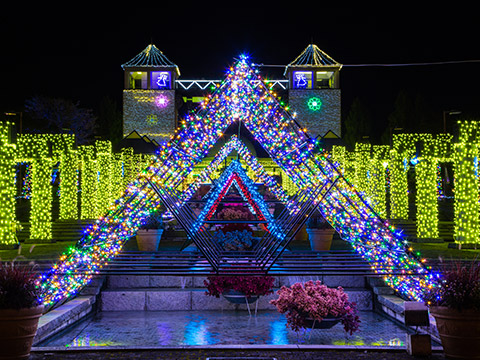 Gunma flower park illumination
			& Fireworks display