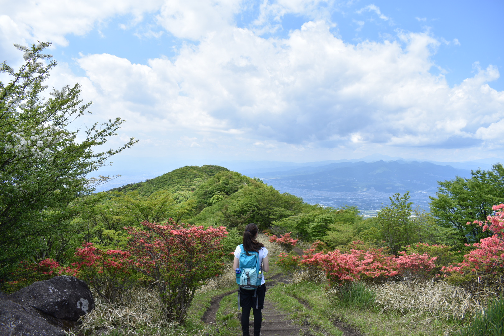 A hiker looks out at azaleas and a great view from Nabewari ridgeline