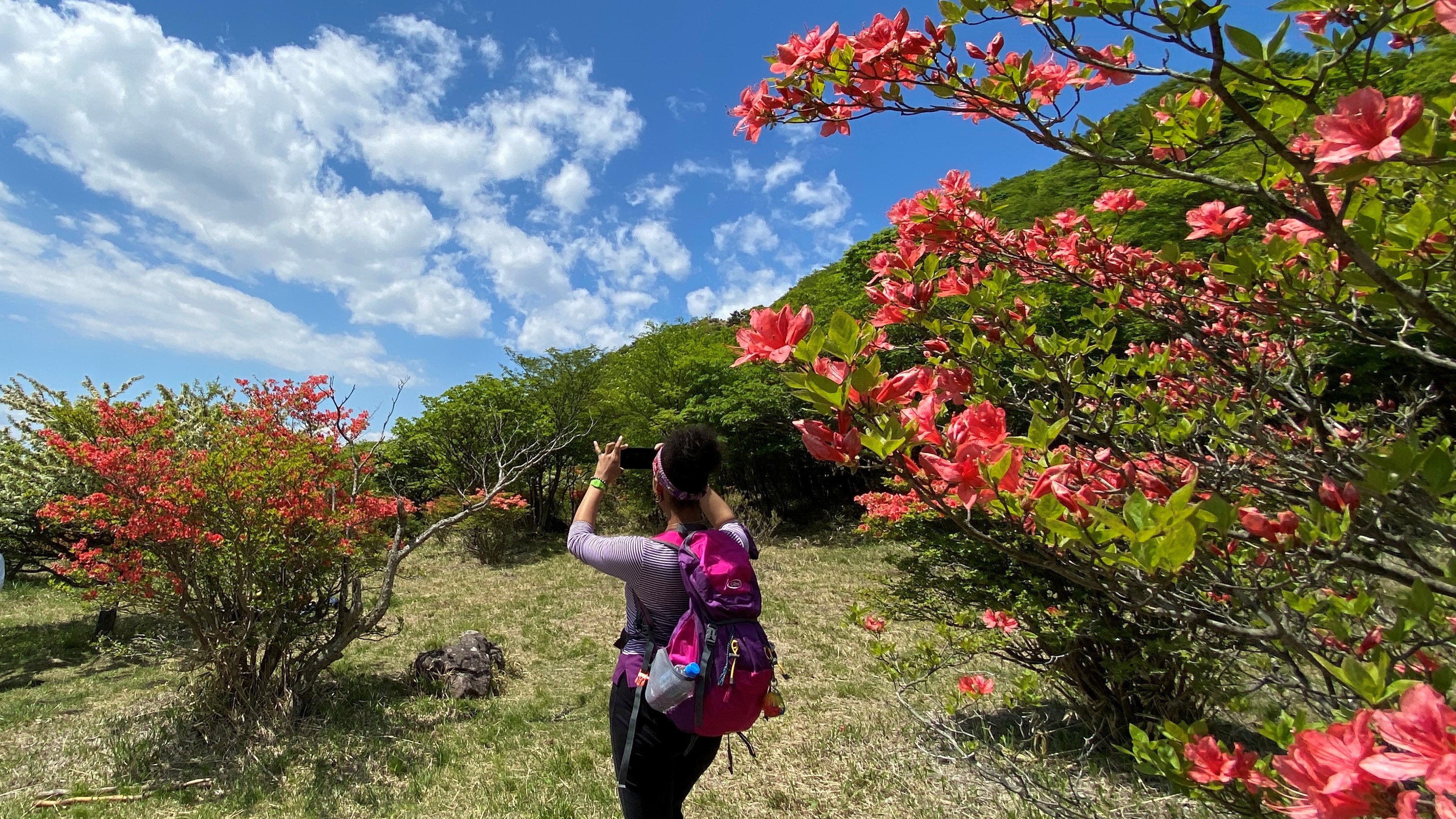 A hiker takes a picture of an azalea bush with her smartphone