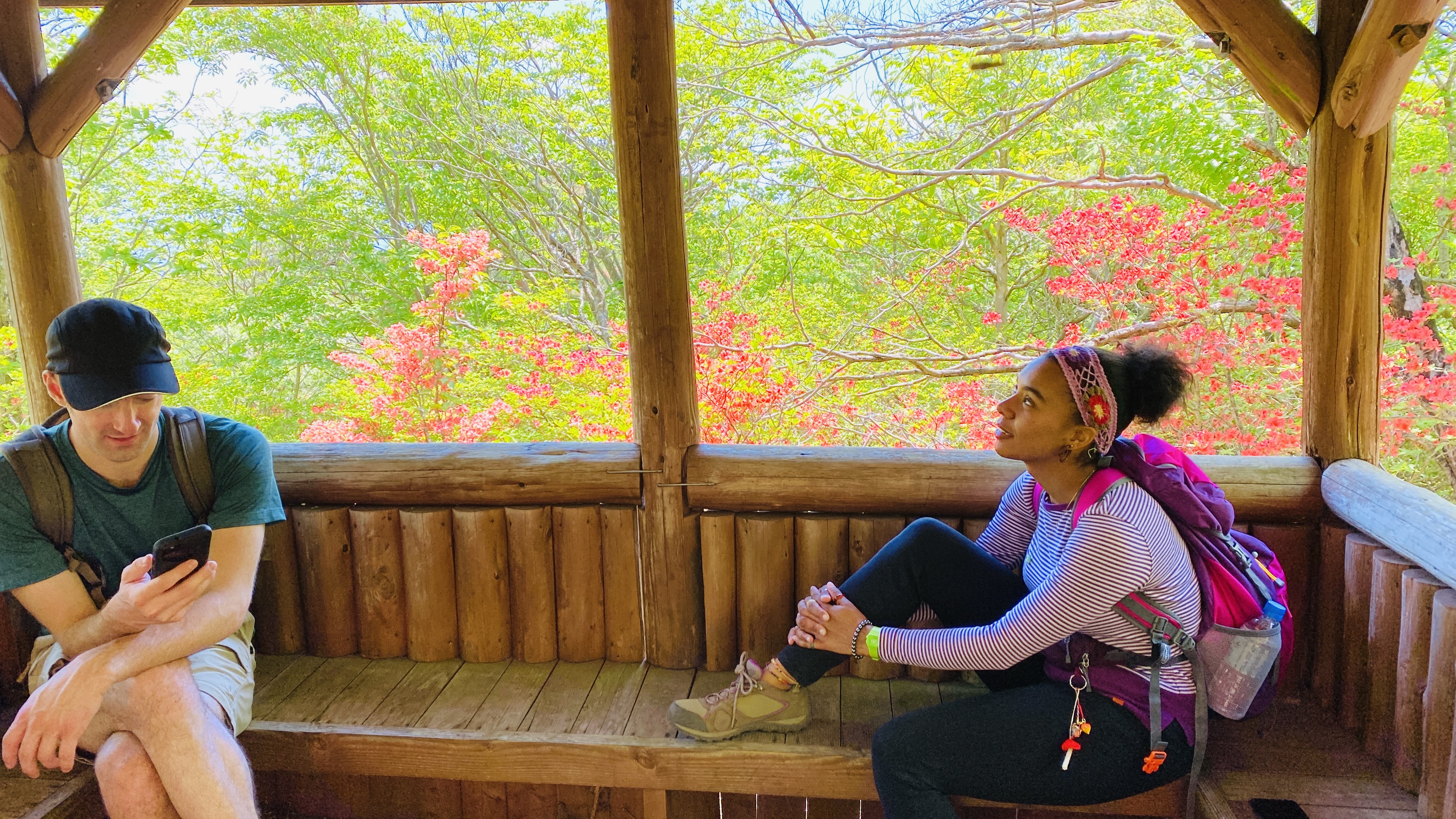 Hikers taking a break at a wooden rest hut surrounded by flowers