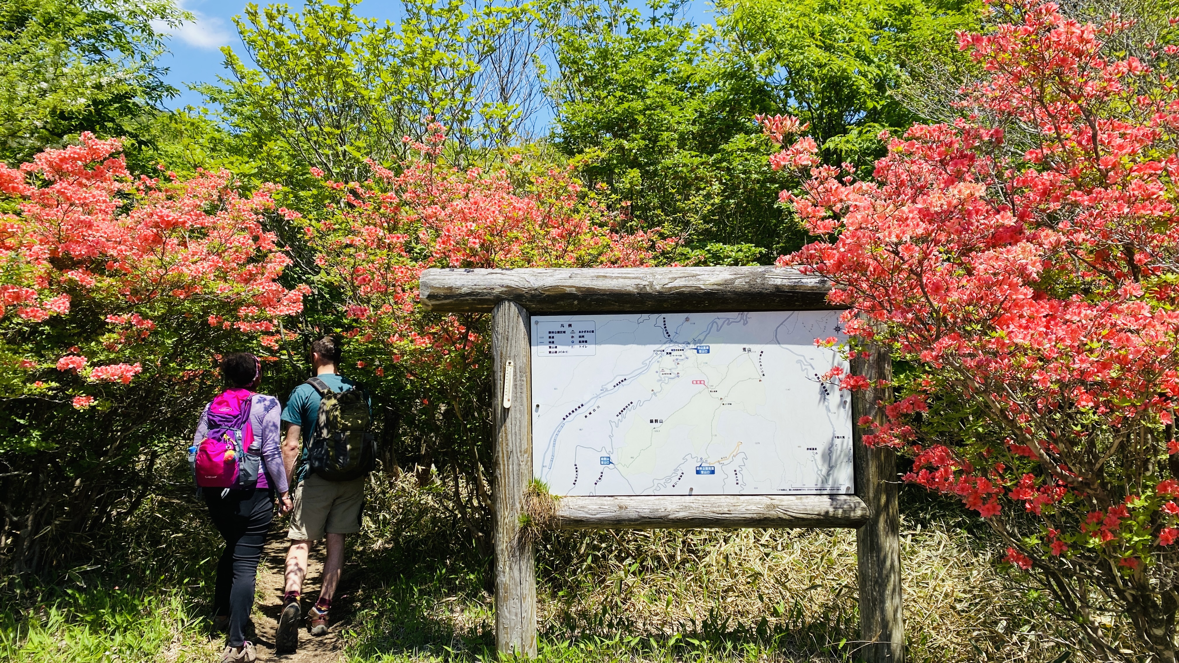 Hikers enter a trail next to a trail map signboard at Arayama Kogen