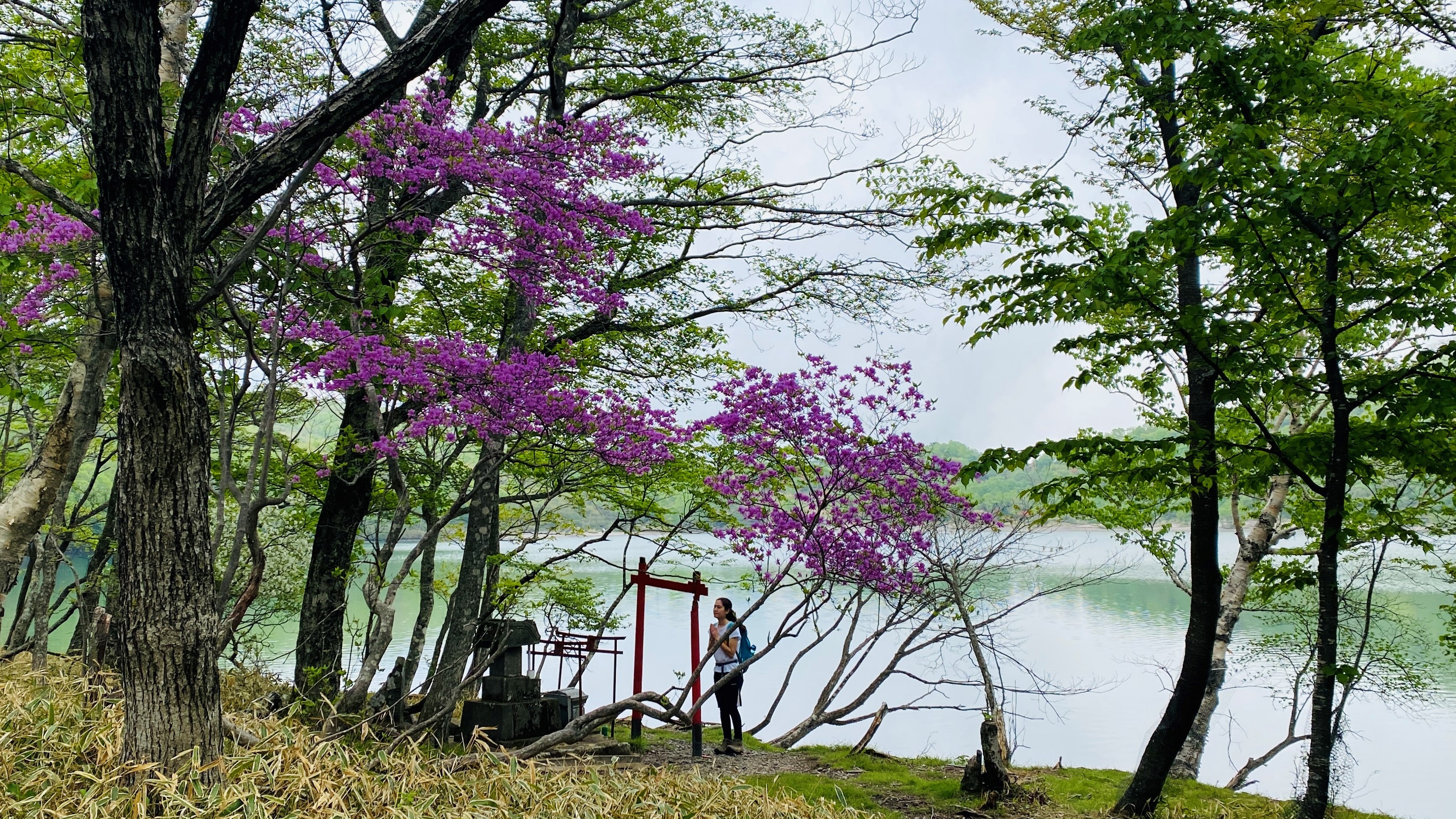 a hiker stops to pray at a small shinto shrine by a lake