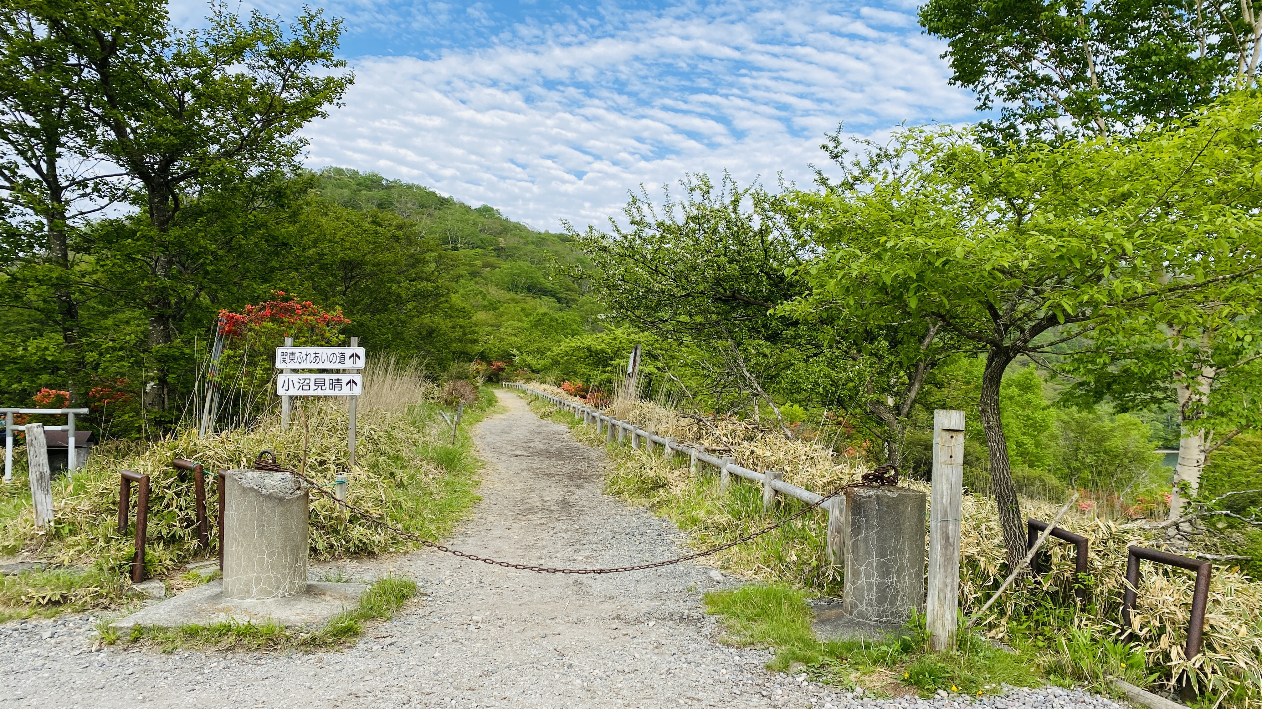 a straight tree-lined path with a low chain across the front