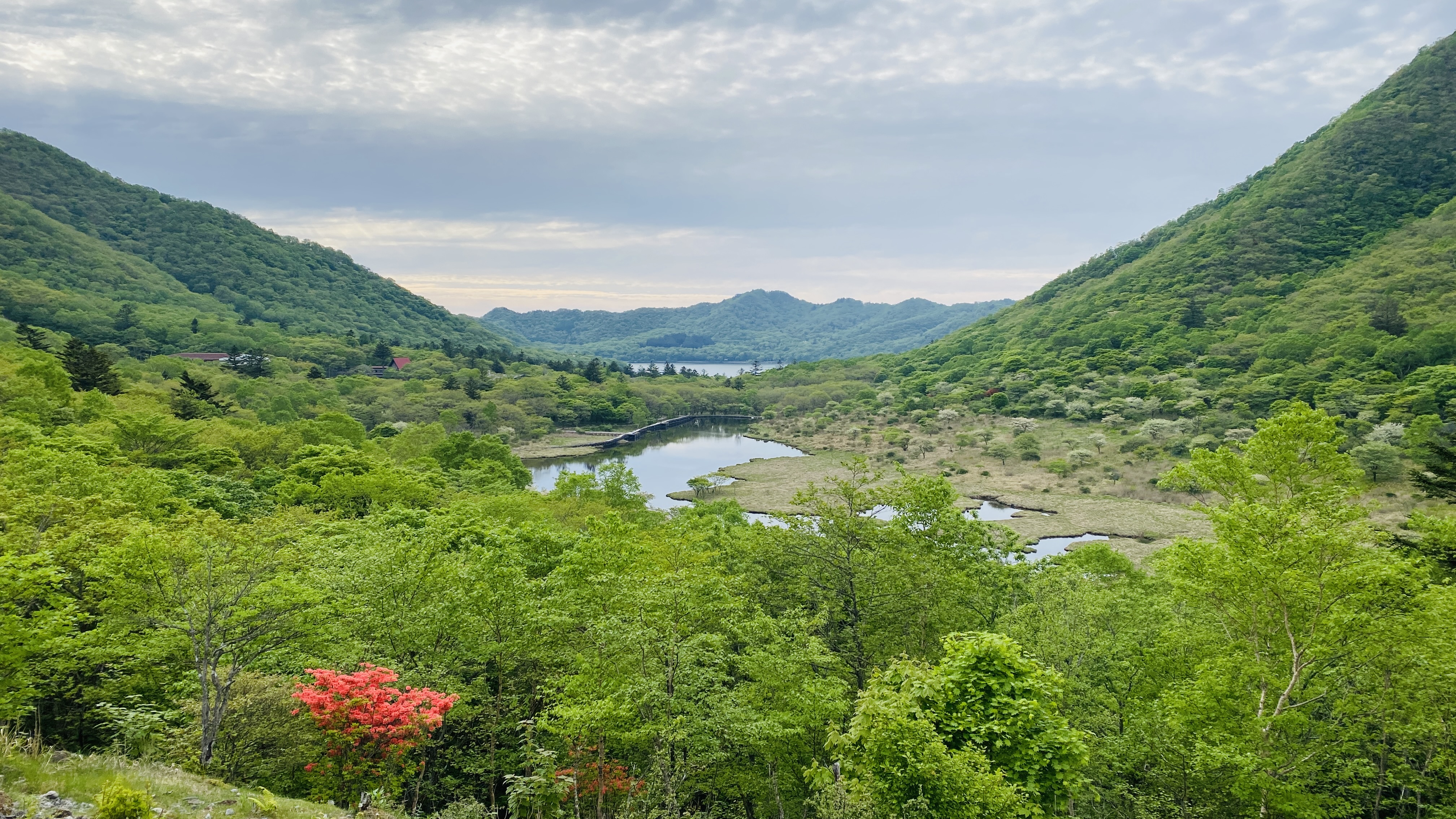 Kakumanbuchi, a summit marshland viewed from above