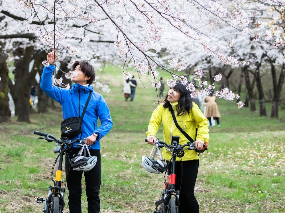 Two people with e-bikes looking at cherry blossoms