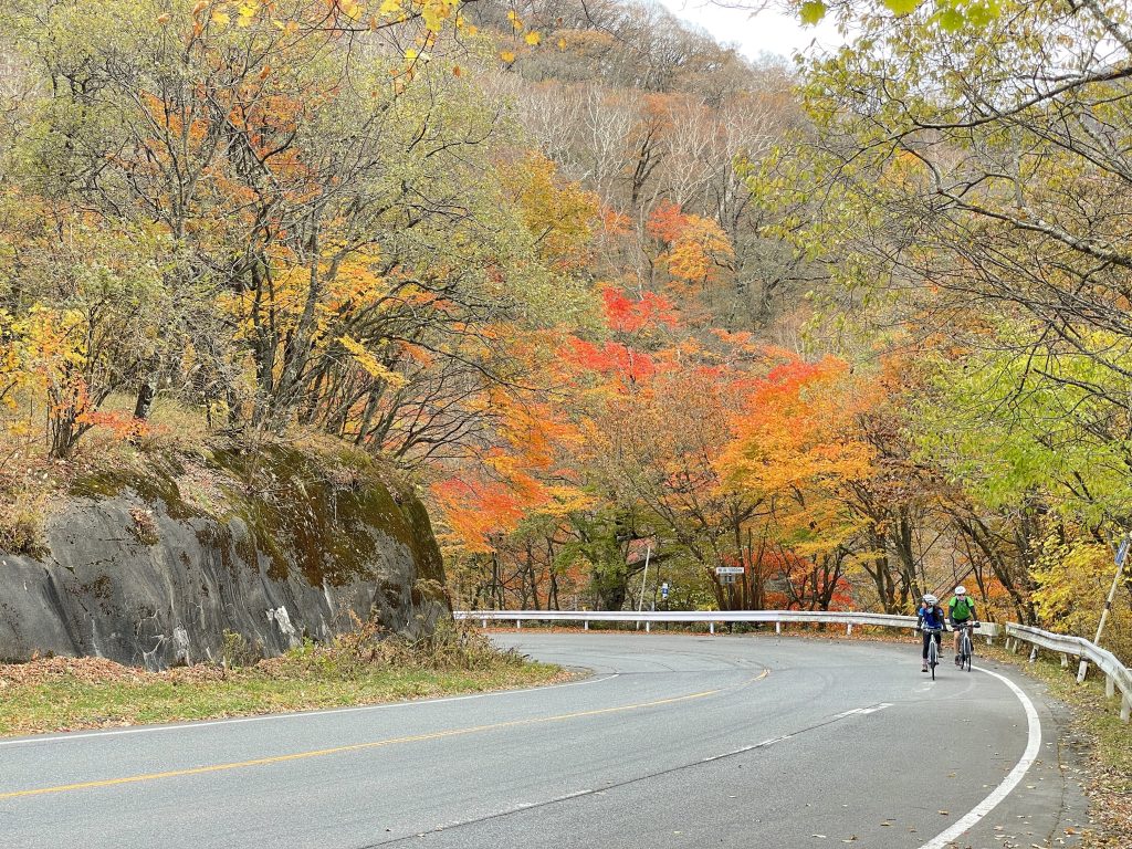 Two cyclists riding amid fall colors