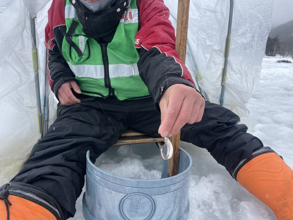 Someone holding a small fish