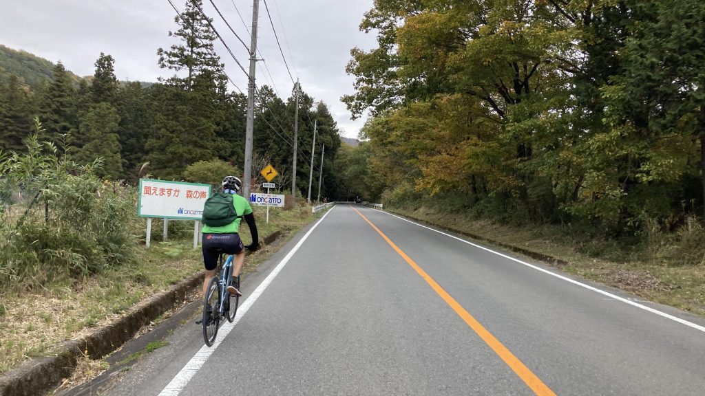 A cyclist riding up a forested road