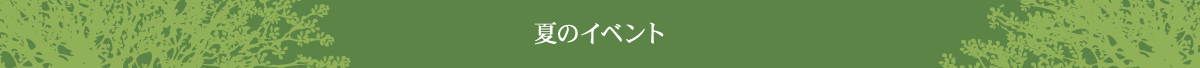 夏のイベント