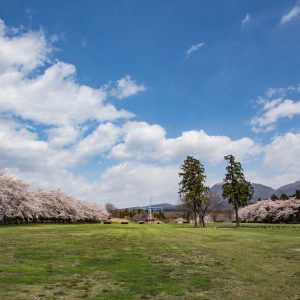 大胡ぐりーんふらわー牧場さくらまつり