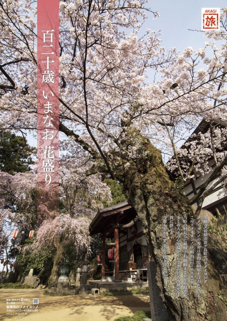 120歳いまなお花盛り