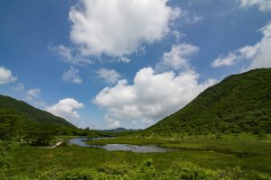 赤城山 覚満淵での自然観察会