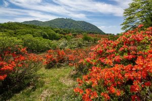 【赤城山検定】～赤城山直通バスでのガイドとして一緒に活躍しませんか？～