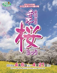赤城南面千本桜まつり