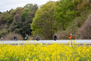 参加者募集！Akagi e-Bike Community Cycleサイクリングモニターツアー  「新緑と花とパワスポで週末リトリート」 e-Bike(高性能電動アシスト付スポーツ自転車)レンタル付き※募集終了しました