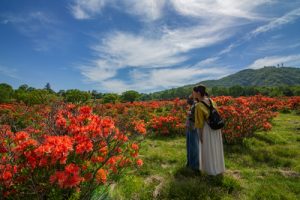 普段は入れない！赤城白樺牧場 秘密の絶景ツアー2020　※中止となりました。