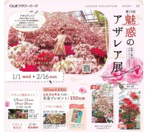 真冬の花園～第19回 魅惑のアザレア展 inカネコ種苗ぐんまフラワーパーク