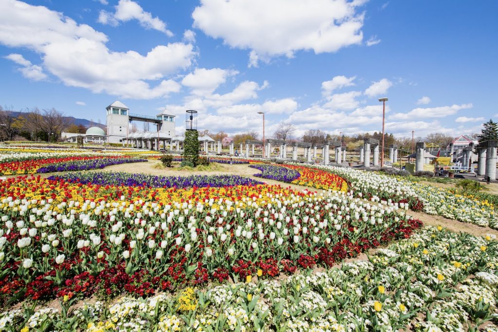 臨時休園中のぐんまフラワーパーク スタッフの皆さんが丹精込めて育てたチューリップをおたのしみください Akagi Trip 赤城山をあそぼう