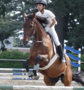 乗馬初心者のための体験乗馬 ４回コース　