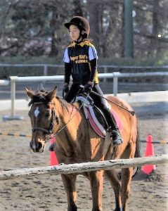 親子で楽しむ体験乗馬教室