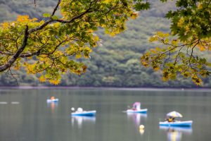 赤城山 大沼ワカサギボート釣り