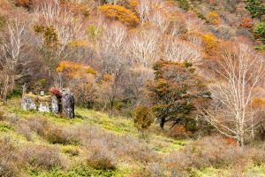 普段は入れない！秘密の絶景ツアー 2021Autumn