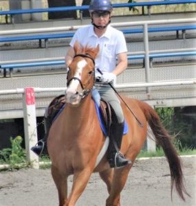 50歳からの体験乗馬４回コース