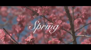 春