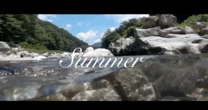 夏