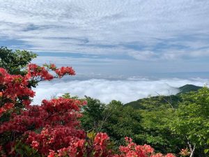 赤城山 ツツジ開花状況 登山で楽しめる場所で見頃 21 6 22 Akagi Trip 赤城山をあそぼう