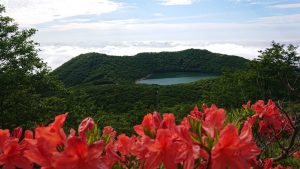 赤城山 ツツジ開花状況 登山で楽しめる場所で見頃 21 6 22 Akagi Trip 赤城山をあそぼう