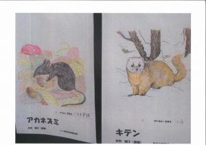 群馬県の鳥達と塗り絵教室