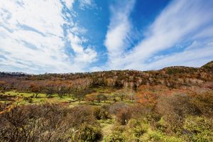 普段は入れない！赤城白樺牧場 秘密の絶景ツアー2023 Autumn