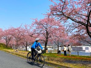 【満員御礼】e-Bikeサイクリングツアー 河津桜と古民家カフェのリトリートサイクリング